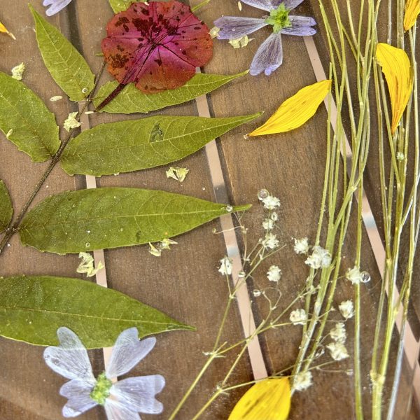 Tabla Vega - Imagen 5