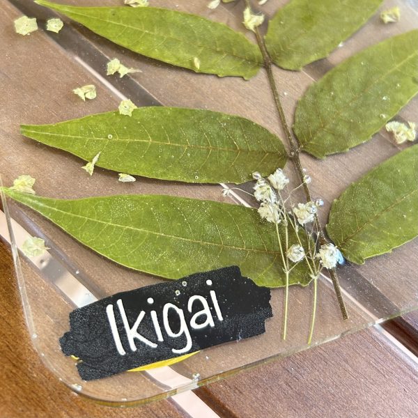 Tabla Vega - Imagen 6