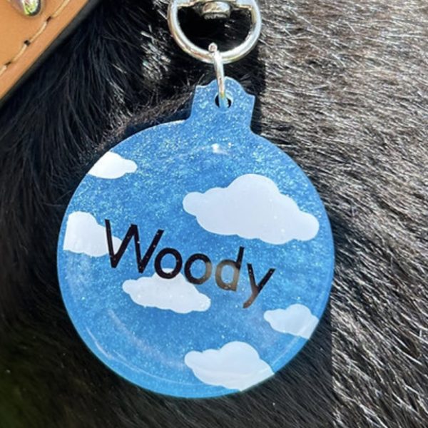 Personaliza el colgante de tu perro - Imagen 3